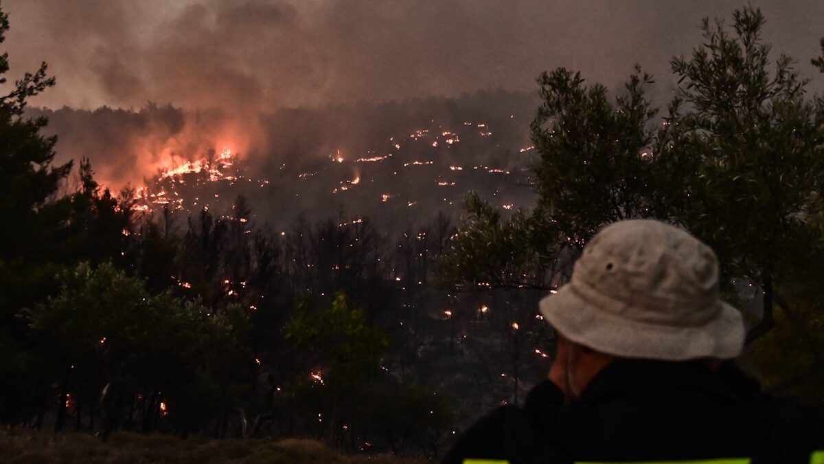 Φωτιά στον Ωρωπό: Συνελήφθη 70χρονος για εμπρησμό από αμέλεια Φωτιά στον Ωρωπό: Συνελήφθη 70χρονος για εμπρησμό από αμέλεια