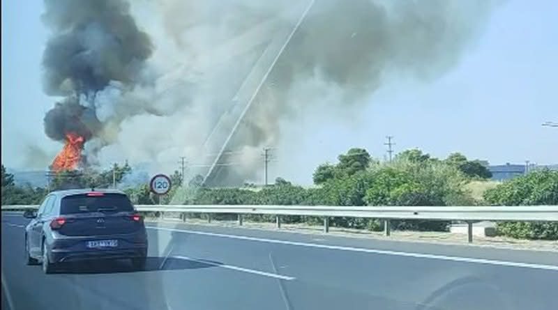 Φωτιά σε δασική έκταση στο Κορωπί – Σηκώθηκαν εναέρια Φωτιά σε δασική έκταση στο Κορωπί – Σηκώθηκαν εναέρια