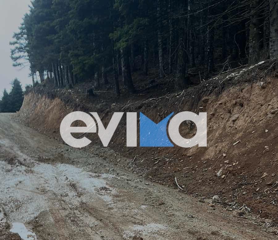 Συναγερμός στην Εύβοια: Αγνοούνται περιπατητές σε δύσβατη περιοχή Συναγερμός στην Εύβοια: Αγνοούνται περιπατητές σε δύσβατη περιοχή