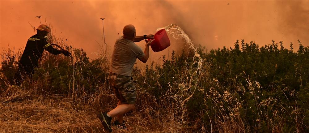 Κρυονέρι: Σε 27 απεγκλωβισμούς πολιτών προχώρησε η ΕΛΑΣ – Τι γίνεται με τις άλλες φωτιές Κρυονέρι: Σε 27 απεγκλωβισμούς πολιτών προχώρησε η ΕΛΑΣ – Τι γίνεται με τις άλλες φωτιές