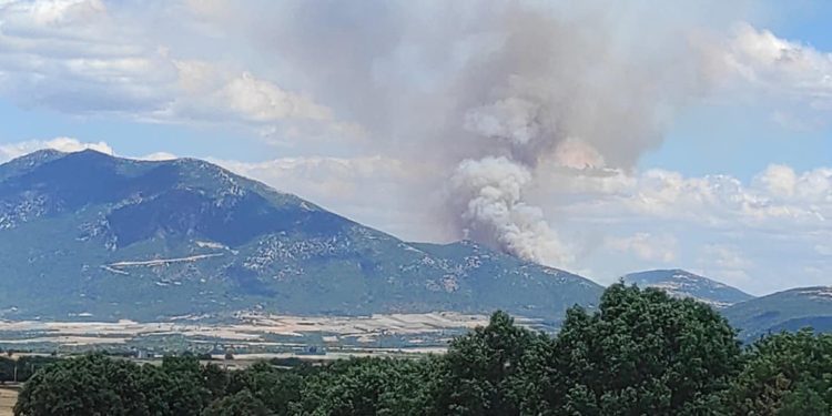 Φωτιά σε δασική έκταση στα Γρεβενά (pics&vid) Φωτιά σε δασική έκταση στα Γρεβενά (pics&vid)