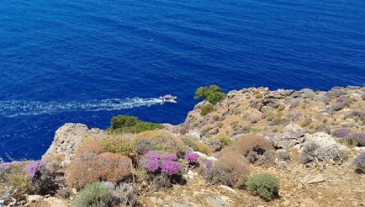 Λήξη συναγερμού στην Εύβοια: Εδώ βρέθηκε η γυναίκα που εξαφανίστηκε Λήξη συναγερμού στην Εύβοια: Εδώ βρέθηκε η γυναίκα που εξαφανίστηκε