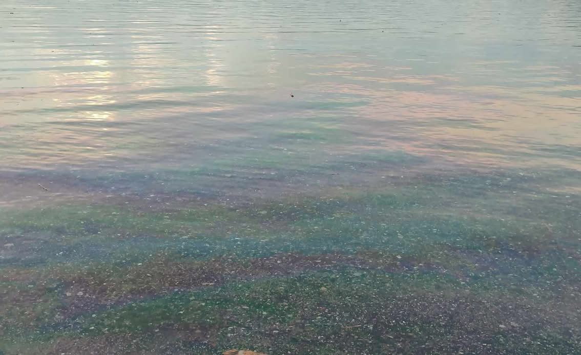 Συναγερμός στην Εύβοια: Χύθηκαν καύσιμα μέσα στη θάλασσα Συναγερμός στην Εύβοια: Χύθηκαν καύσιμα μέσα στη θάλασσα