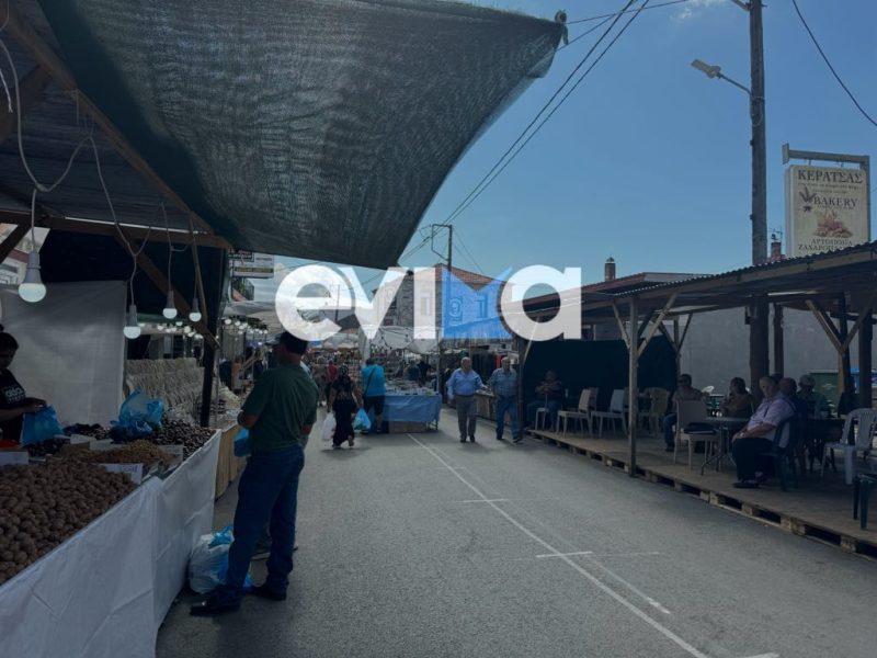 Πότε θα γίνει φέτος το παζάρι του Αυλωναρίου στην Εύβοια Πότε θα γίνει φέτος το παζάρι του Αυλωναρίου στην Εύβοια