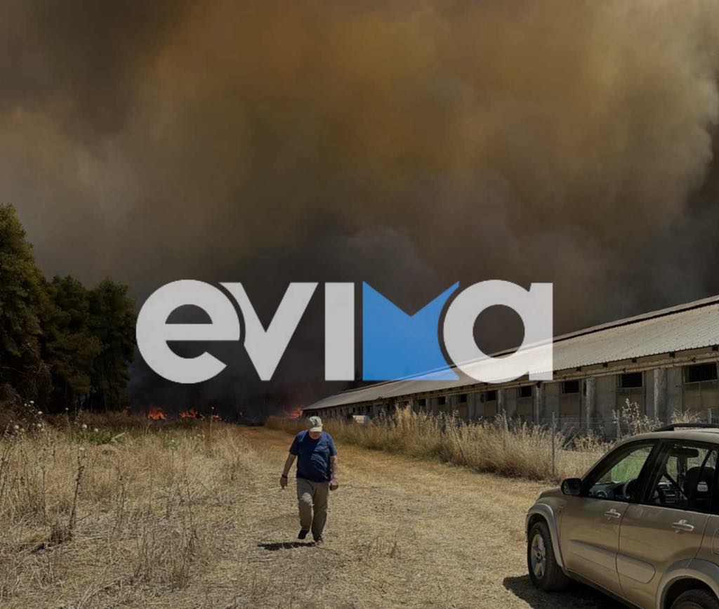 Φωτιά στην Εύβοια: Συγκλονιστική μαρτυρία για οικογενειακή επιχείρηση – «Πάθαμε μεγάλη ζημιά» Φωτιά στην Εύβοια: Συγκλονιστική μαρτυρία για οικογενειακή επιχείρηση – «Πάθαμε μεγάλη ζημιά»