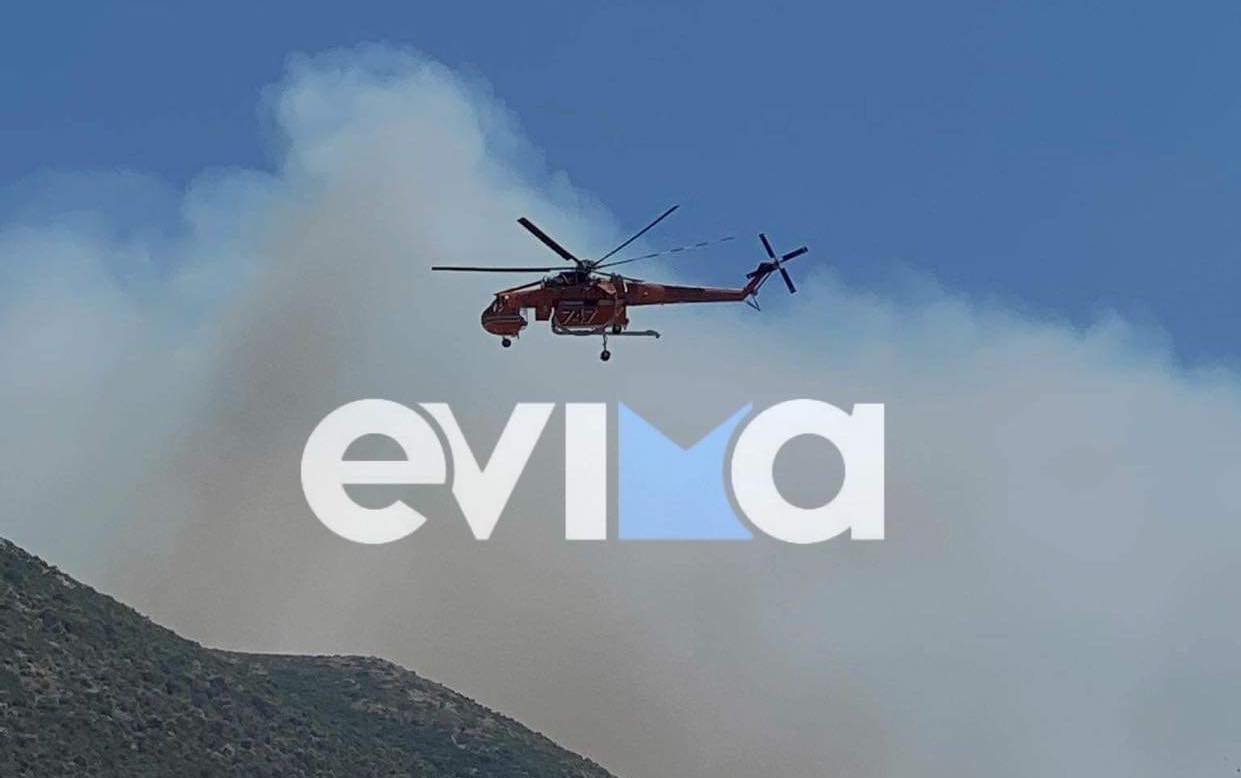 Τρεις φωτιές μέσα σε λίγες ώρες στην Εύβοια