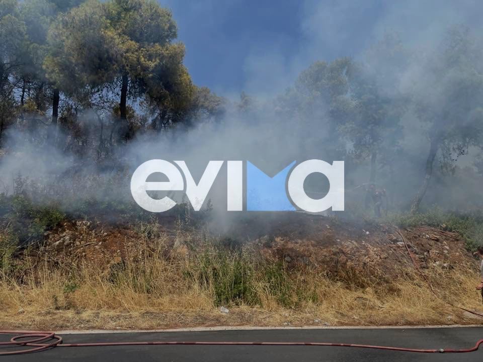 Φωτιά στην Εύβοια: Σε κατάσταση έκτακτης ανάγκης Τριάδα και Πισσώνας Φωτιά στην Εύβοια: Σε κατάσταση έκτακτης ανάγκης Τριάδα και Πισσώνας