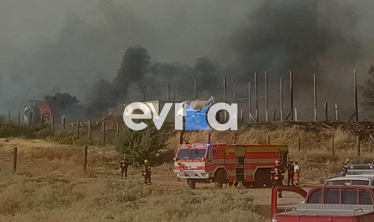 Στο Περιφερειακό Συμβούλιο Στερεάς Ελλάδας οι φωτιές στην Εύβοια Στο Περιφερειακό Συμβούλιο Στερεάς Ελλάδας οι φωτιές στην Εύβοια