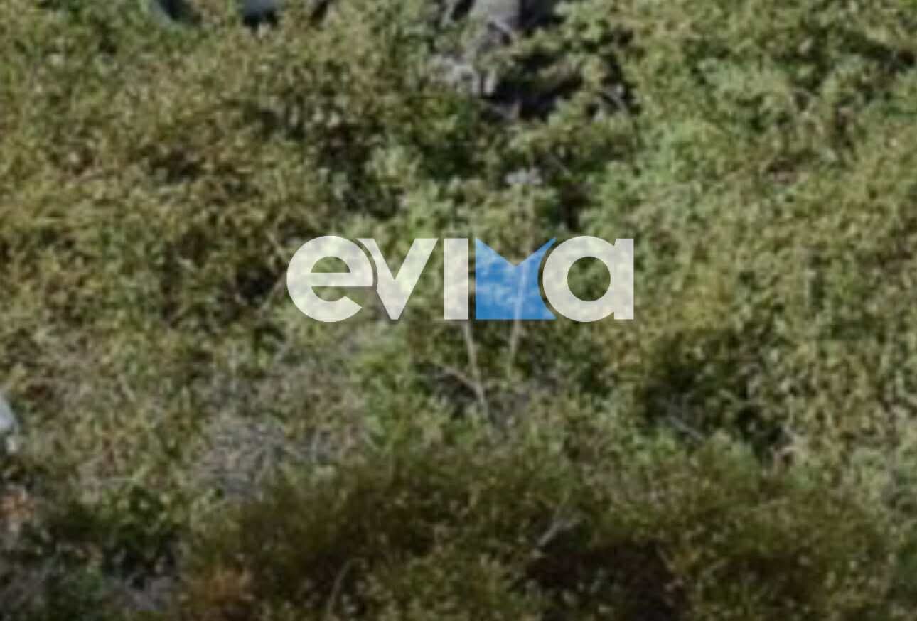 Σοβαρό τροχαίο στην Εύβοια: ΙΧ με τρία άτομα έπεσε σε χαράδρα Σοβαρό τροχαίο στην Εύβοια: ΙΧ με τρία άτομα έπεσε σε χαράδρα