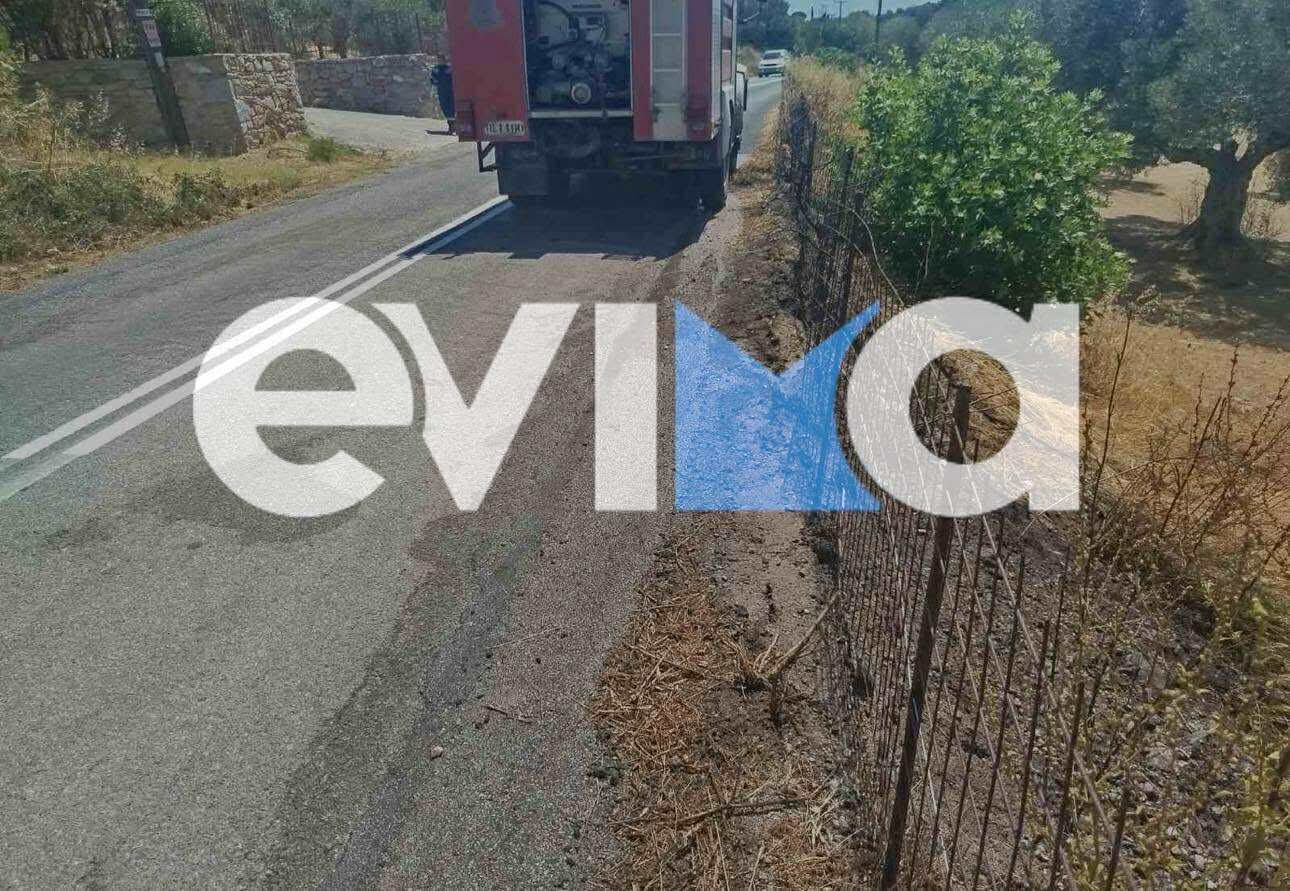 Φωτιά στα Νέα Στύρα Ευβοίας- Που εκδηλώθηκε, τι έκαψε – Εικόνα Φωτιά στα Νέα Στύρα Ευβοίας- Που εκδηλώθηκε, τι έκαψε – Εικόνα