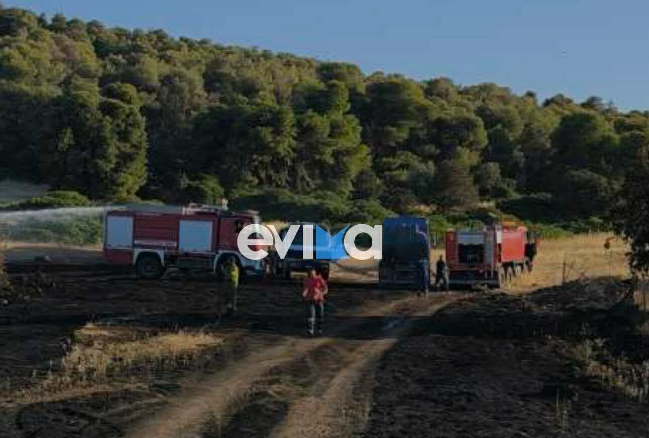 Φωτιά στην Εύβοια: Σε νοσοκομείο της Αθήνας ο εθελοντής πυροσβέστης που τραυματίστηκε Φωτιά στην Εύβοια: Σε νοσοκομείο της Αθήνας ο εθελοντής πυροσβέστης που τραυματίστηκε