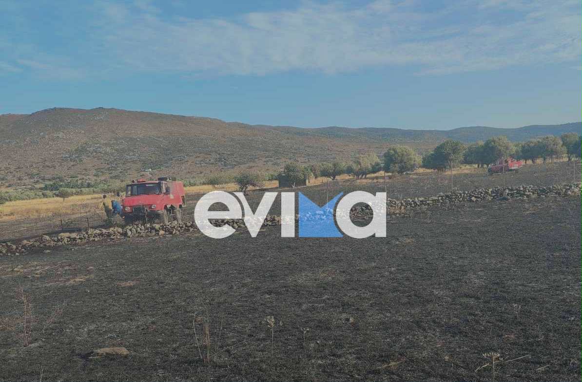 Εύβοια: Υπό έλεγχο η φωτιά στον κάμπο Καρύστου – Τι έκαψε Εύβοια: Υπό έλεγχο η φωτιά στον κάμπο Καρύστου – Τι έκαψε