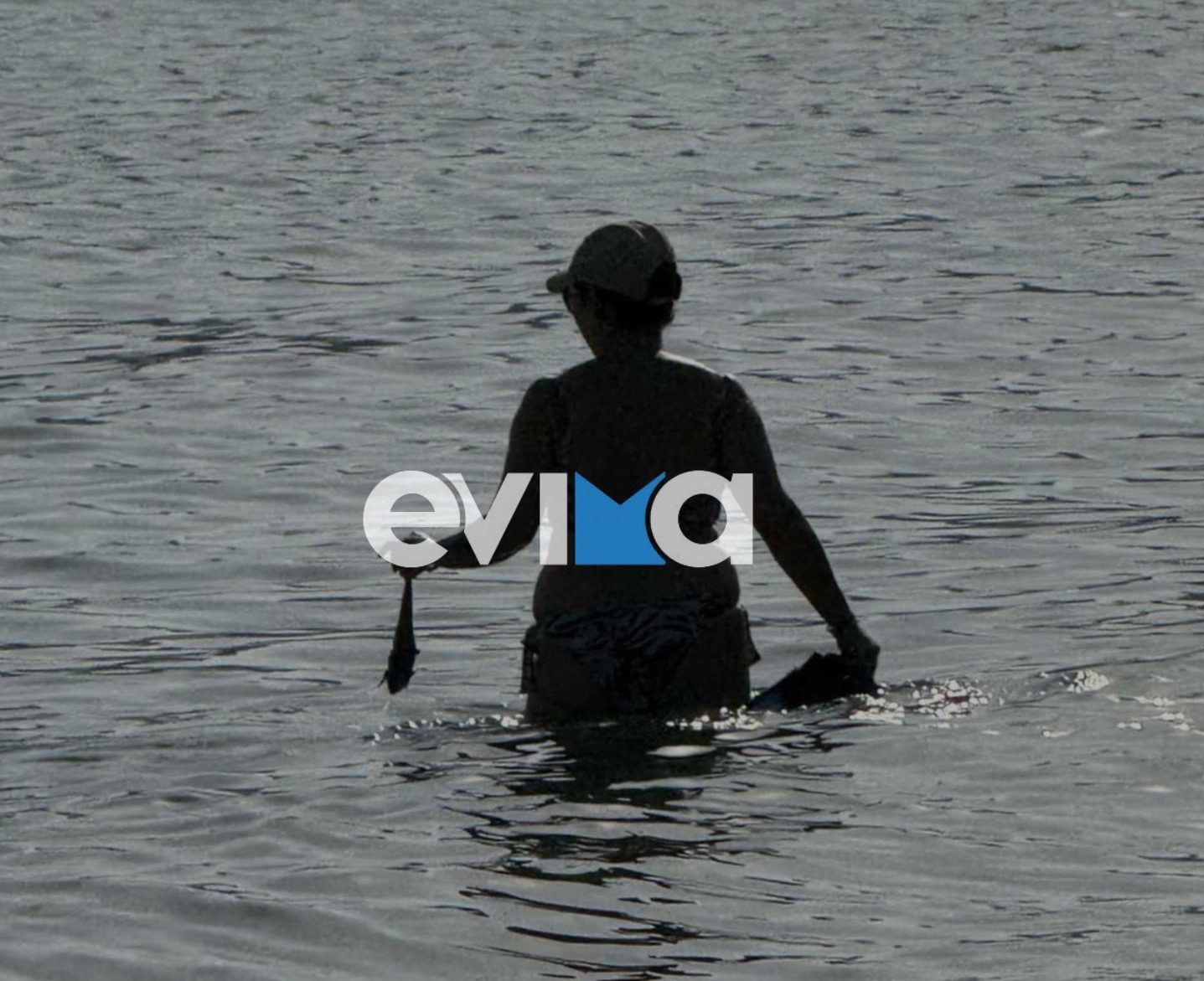 Γέμισε με ψόφια ψάρια παραλία της Εύβοιας – Τα μάζευαν οι λουόμενοι- Τι συνέβη (εικόνες) Γέμισε με ψόφια ψάρια παραλία της Εύβοιας – Τα μάζευαν οι λουόμενοι- Τι συνέβη (εικόνες)