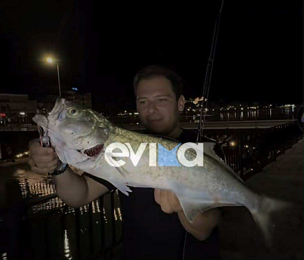 Νέα «τρελή» ψαριά στην Εύβοια: Έπιασε ψάρι δέκα κιλά με καλάμι Νέα «τρελή» ψαριά στην Εύβοια: Έπιασε ψάρι δέκα κιλά με καλάμι