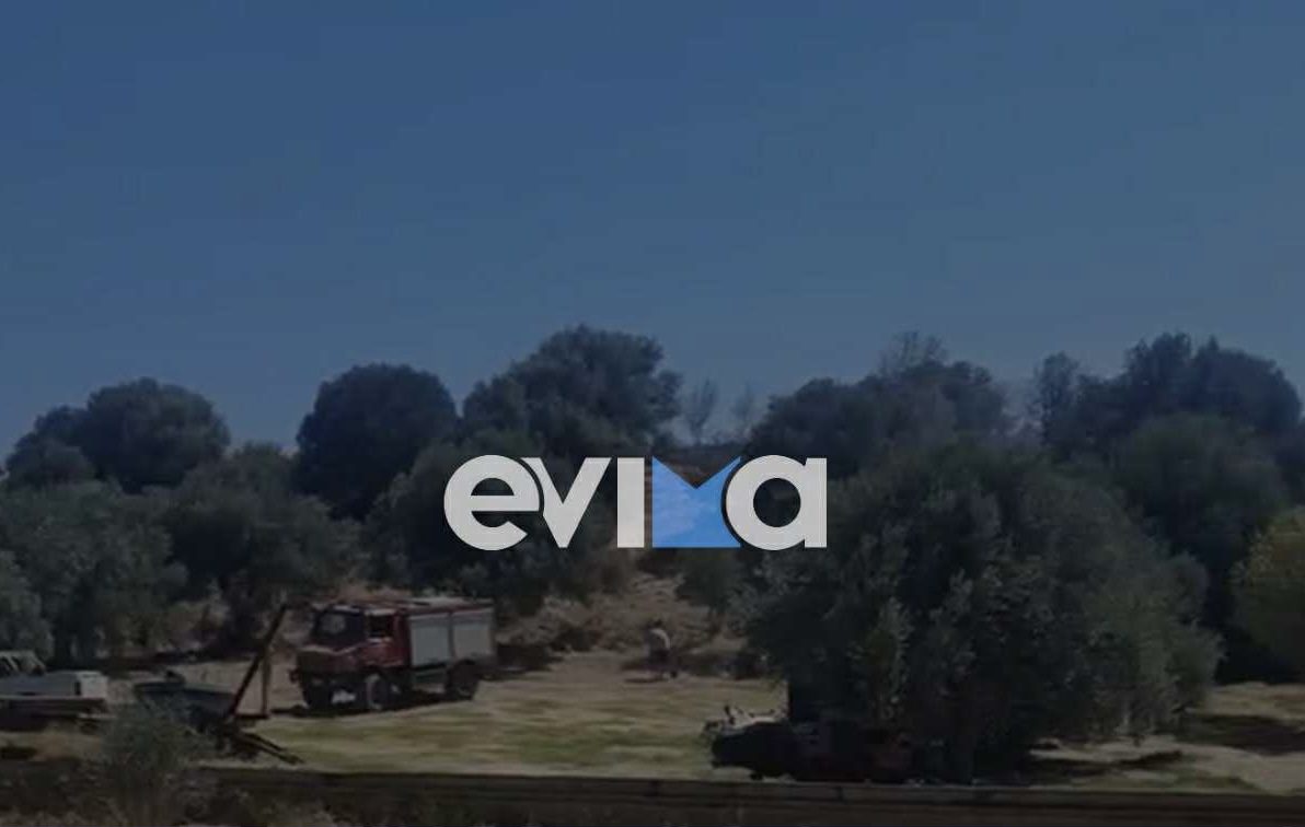 Νεαρός έβαλε φωτιά στην Εύβοια: Συγκλονιστική μαρτυρία στο evima Νεαρός έβαλε φωτιά στην Εύβοια: Συγκλονιστική μαρτυρία στο evima