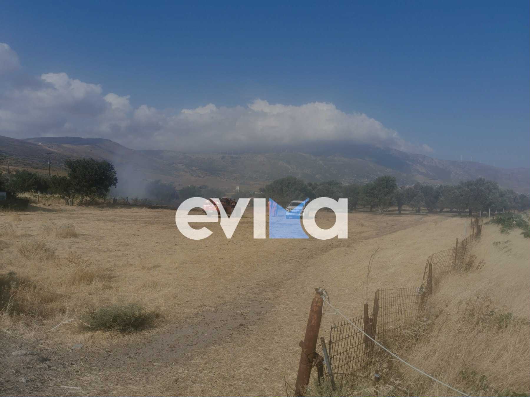 Φωτιά τώρα στην Εύβοια – Η πρώτη εικόνα Φωτιά τώρα στην Εύβοια – Η πρώτη εικόνα