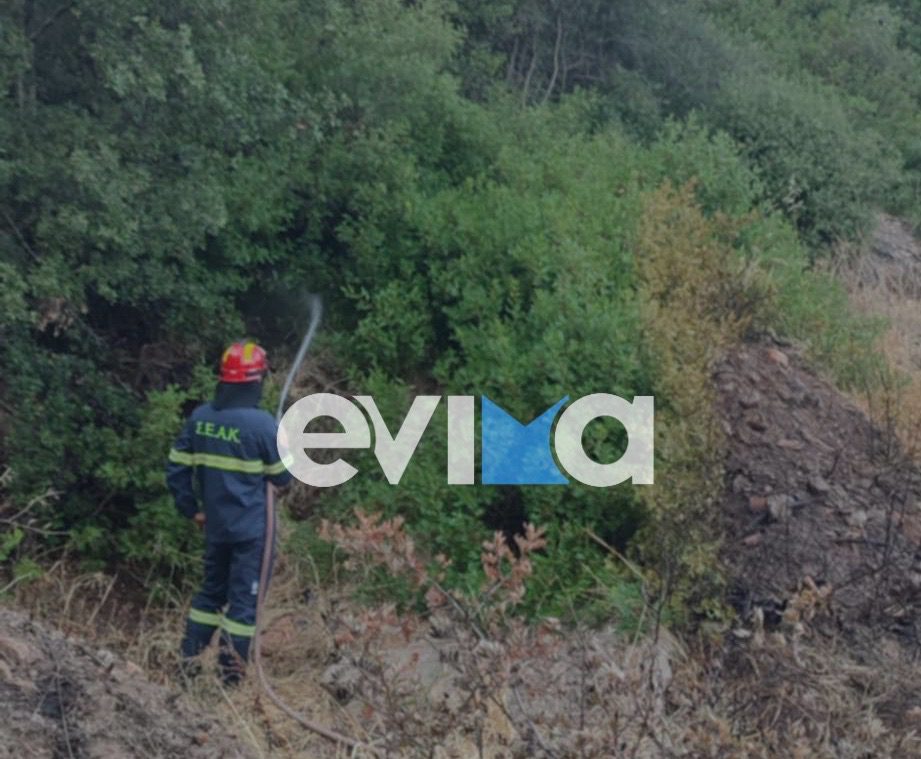 Φωτιά τώρα στην Εύβοια