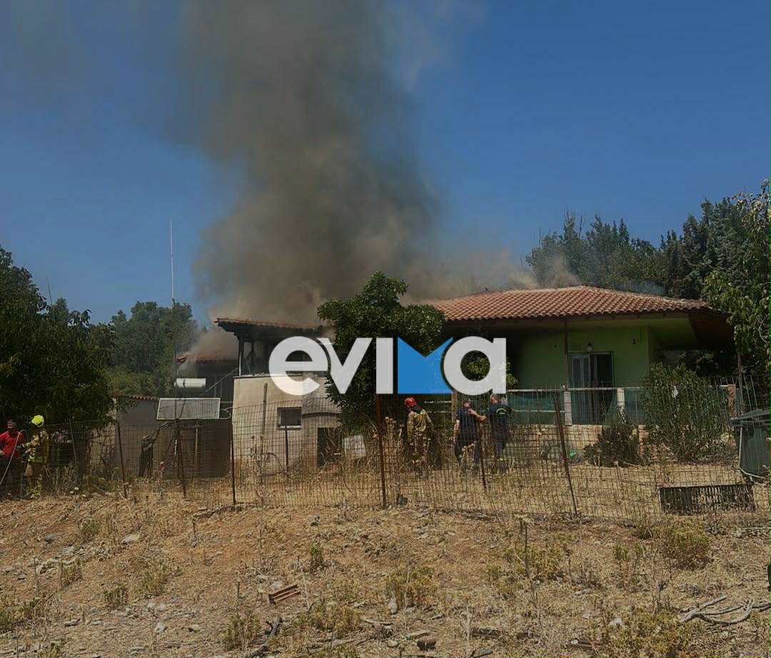 Νέα φωτιά τώρα την Εύβοια Νέα φωτιά τώρα την Εύβοια
