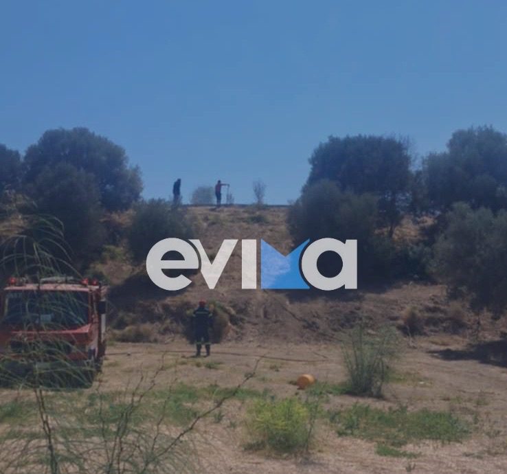 Φωτιά τώρα στην Εύβοια Φωτιά τώρα στην Εύβοια