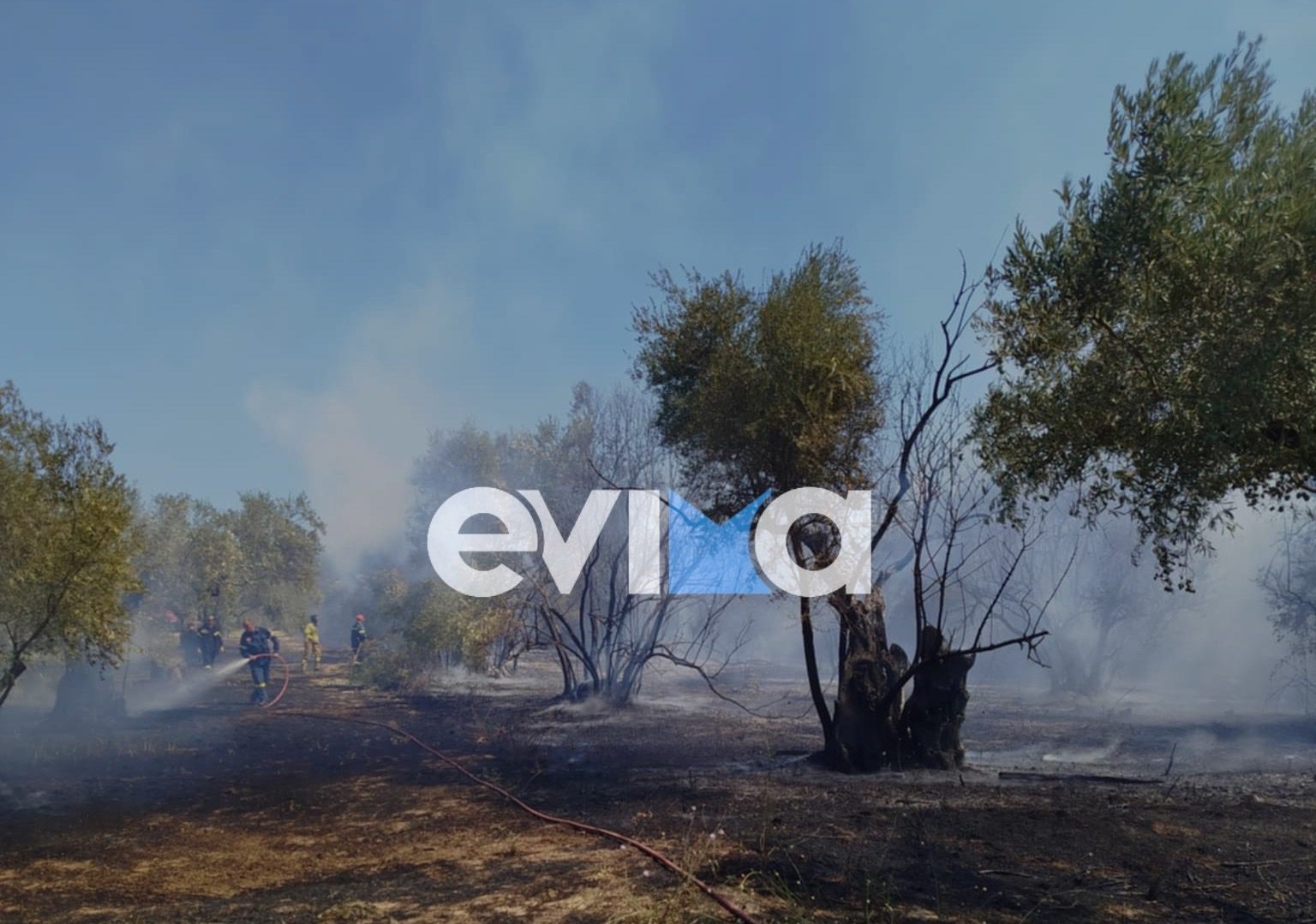 Οριοθετήθηκε η φωτιά στη Βόρεια Εύβοια- Τραυματίστηκε πολίτης Οριοθετήθηκε η φωτιά στη Βόρεια Εύβοια- Τραυματίστηκε πολίτης