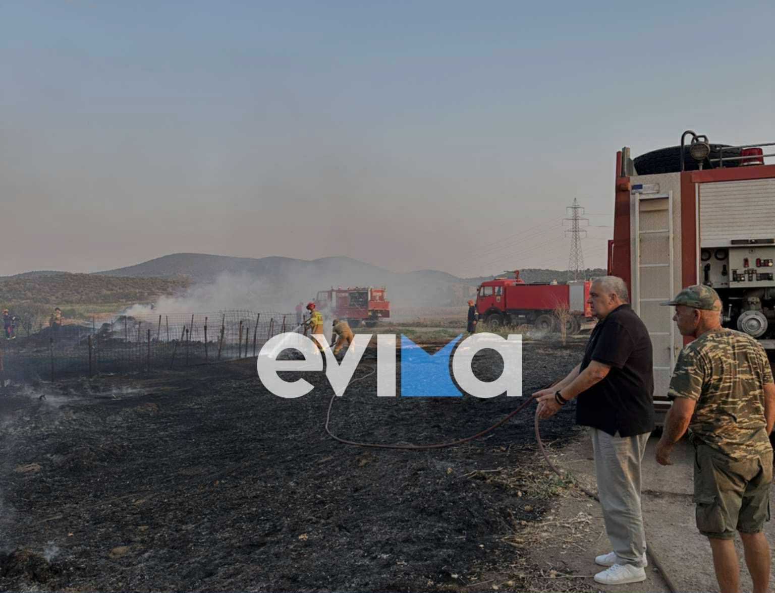 Υπό έλεγχο η φωτιά στον Κολοβρέχτη Ευβοίας – Τι έκαψε Υπό έλεγχο η φωτιά στον Κολοβρέχτη Ευβοίας – Τι έκαψε