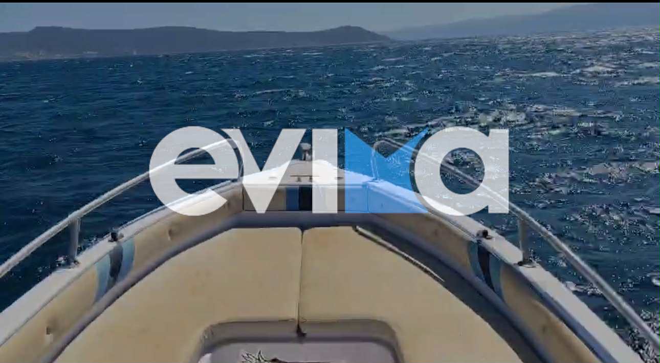 Εύβοια: Ισχυροί άνεμοι παρέσυραν πολίτη με SUP – Η επιχείρηση διάσωσης (pics&vid) Εύβοια: Ισχυροί άνεμοι παρέσυραν πολίτη με SUP – Η επιχείρηση διάσωσης (pics&vid)