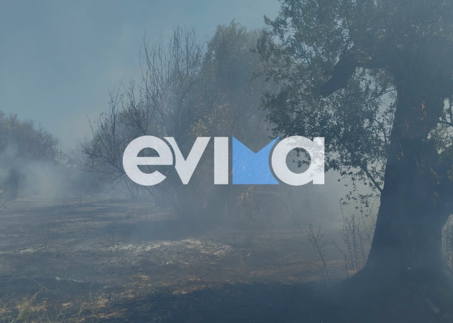 Φωτιά τώρα στη Βόρεια Εύβοια – Οι πρώτες εικόνες Φωτιά τώρα στη Βόρεια Εύβοια – Οι πρώτες εικόνες