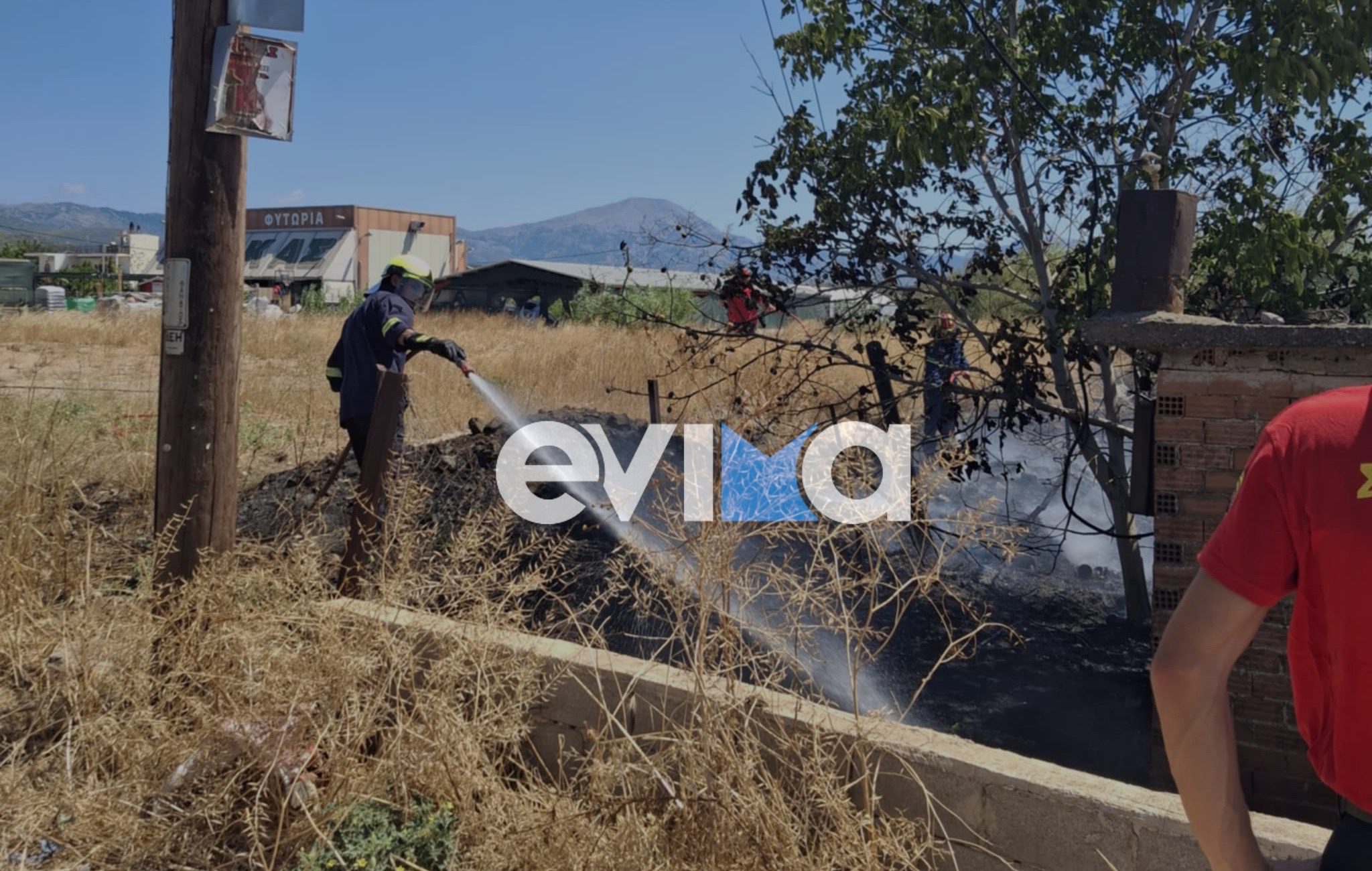 Περιστέρι προκάλεσε φωτιά στην Εύβοια – Τι συνέβη (εικόνα) Περιστέρι προκάλεσε φωτιά στην Εύβοια – Τι συνέβη (εικόνα)