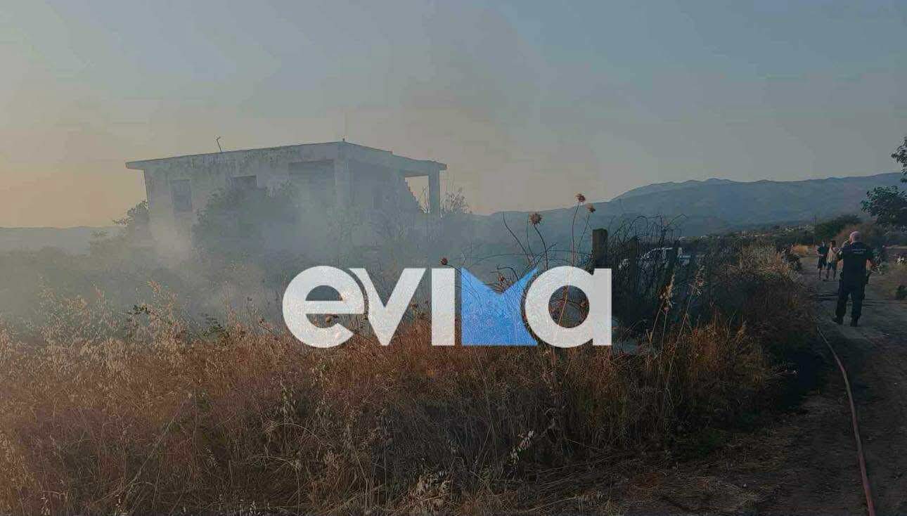 Συνελήφθησαν δύο αλλοδαποί για φωτιά στην Εύβοια Συνελήφθησαν δύο αλλοδαποί για φωτιά στην Εύβοια