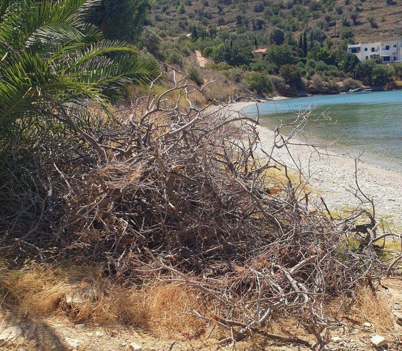 Σάλος στην Εύβοια: Κατέστρεψαν μια από τις ωραιότερες παραλίες Σάλος στην Εύβοια: Κατέστρεψαν μια από τις ωραιότερες παραλίες