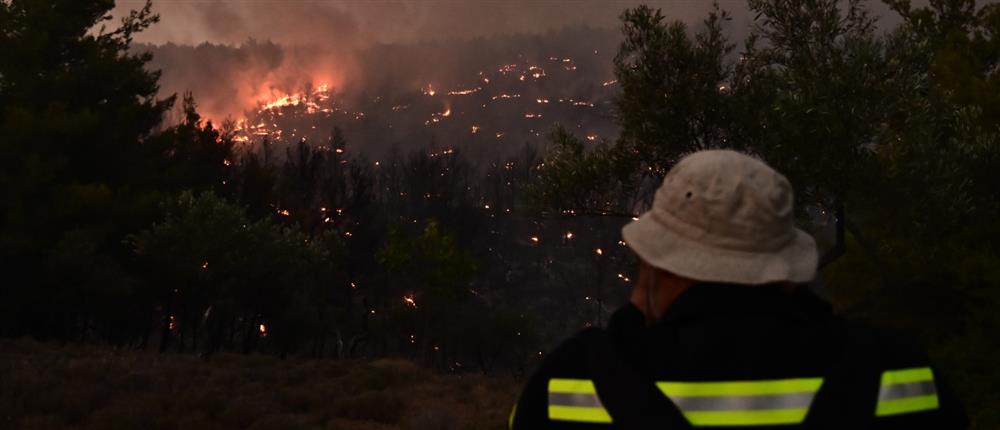 Πυροσβεστική: 32 πυρκαγιές το τελευταίο 24ωρο, μία σύλληψη Πυροσβεστική: 32 πυρκαγιές το τελευταίο 24ωρο, μία σύλληψη