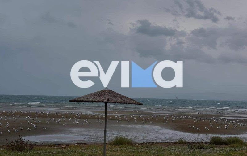 Καιρός: Τοπικές βροχές και βοριάδες σήμερα σε Εύβοια και Σκύρο Καιρός: Τοπικές βροχές και βοριάδες σήμερα σε Εύβοια και Σκύρο