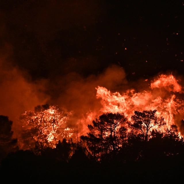 Ολονύχτια μάχη με τη φωτιά στην Ανατολική Αττική: Σε Θυμάρι και Παλαιά Φώκαια οι φλόγες – Καίγονται σπίτια