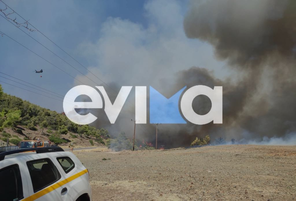 Συναγερμός σε Εύβοια και Σκύρο: Πολύ υψηλός κίνδυνος πυρκαγιάς αύριο – Τι απαγορεύεται Συναγερμός σε Εύβοια και Σκύρο: Πολύ υψηλός κίνδυνος πυρκαγιάς αύριο – Τι απαγορεύεται