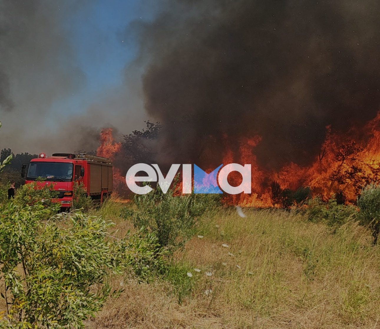 Υψηλός ο κίνδυνος πυρκαγιάς σε Εύβοια και Σκύρο την Κυριακή – Τι απαγορεύεται