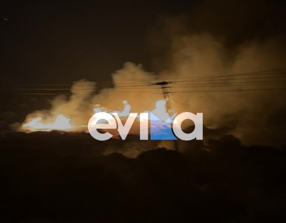 Εύβοια: Φωτιά σε δασική έκταση στα Μεσοχώρια – Τι ώρα ξέσπασε (εικόνες) Εύβοια: Φωτιά σε δασική έκταση στα Μεσοχώρια – Τι ώρα ξέσπασε (εικόνες)