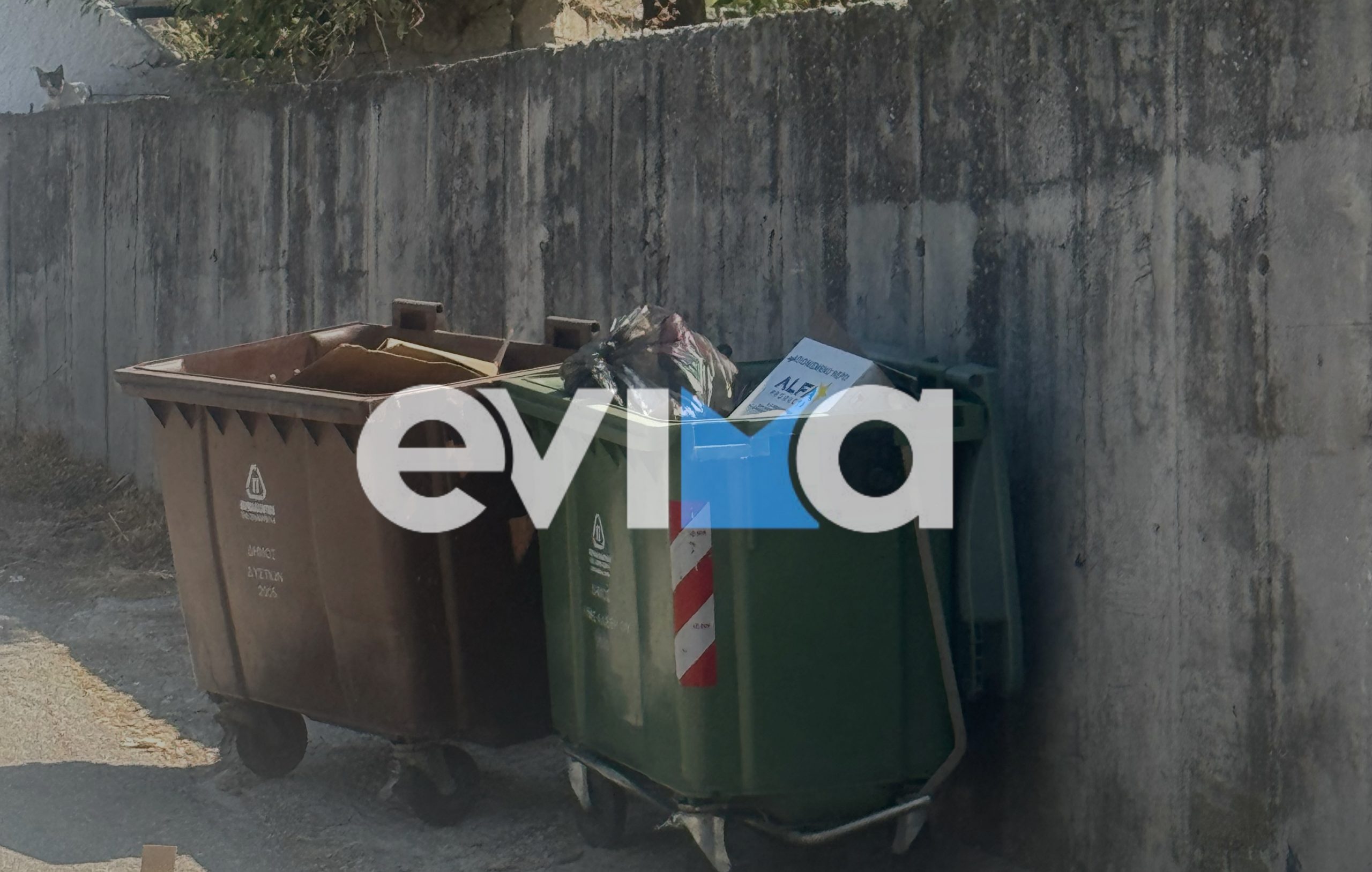 Εύβοια: Ασυνείδητοι πετούν χαρτόνια σε κάδους σκουπιδιών αντί στην ανακύκλωση Εύβοια: Ασυνείδητοι πετούν χαρτόνια σε κάδους σκουπιδιών αντί στην ανακύκλωση