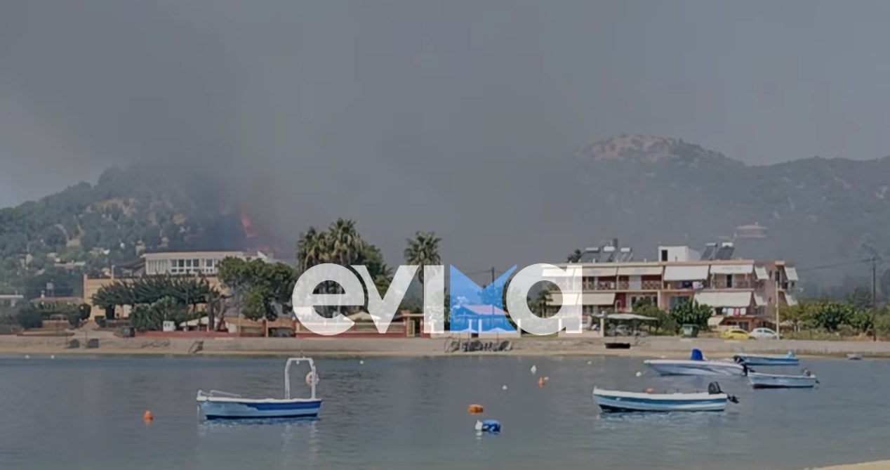 Φωτιά τώρα στην Εύβοια Φωτιά τώρα στην Εύβοια