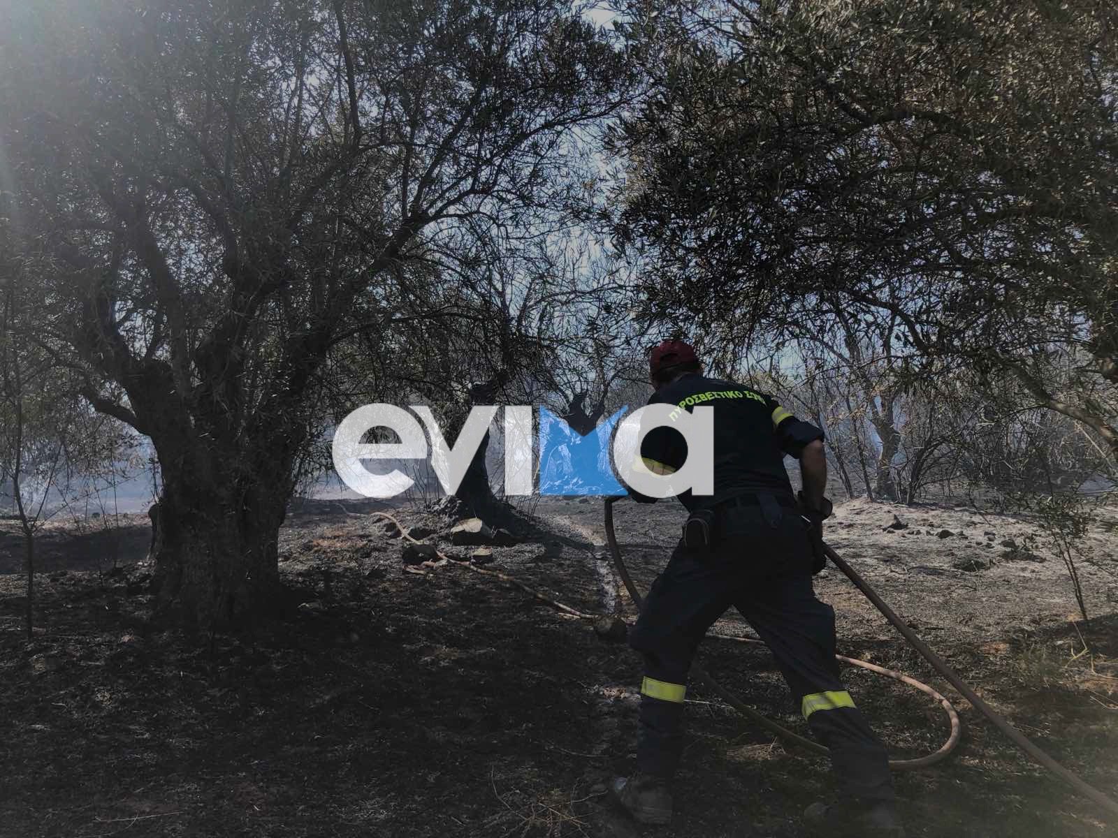 Έκτακτα μέτρα για φωτιά σήμερα στην Εύβοια με εντολή Κεφαλογιάννη Έκτακτα μέτρα για φωτιά σήμερα στην Εύβοια με εντολή Κεφαλογιάννη