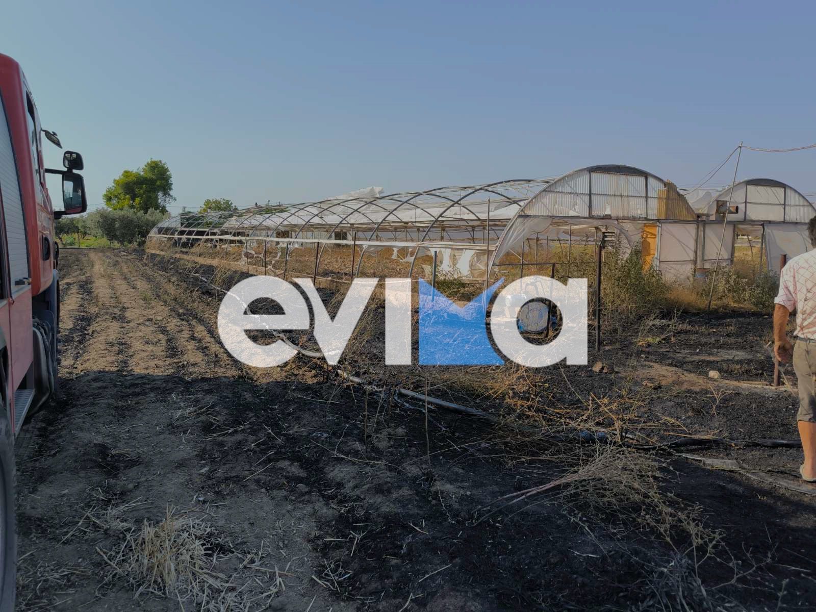 Φωτιά τώρα στην Εύβοια Φωτιά τώρα στην Εύβοια