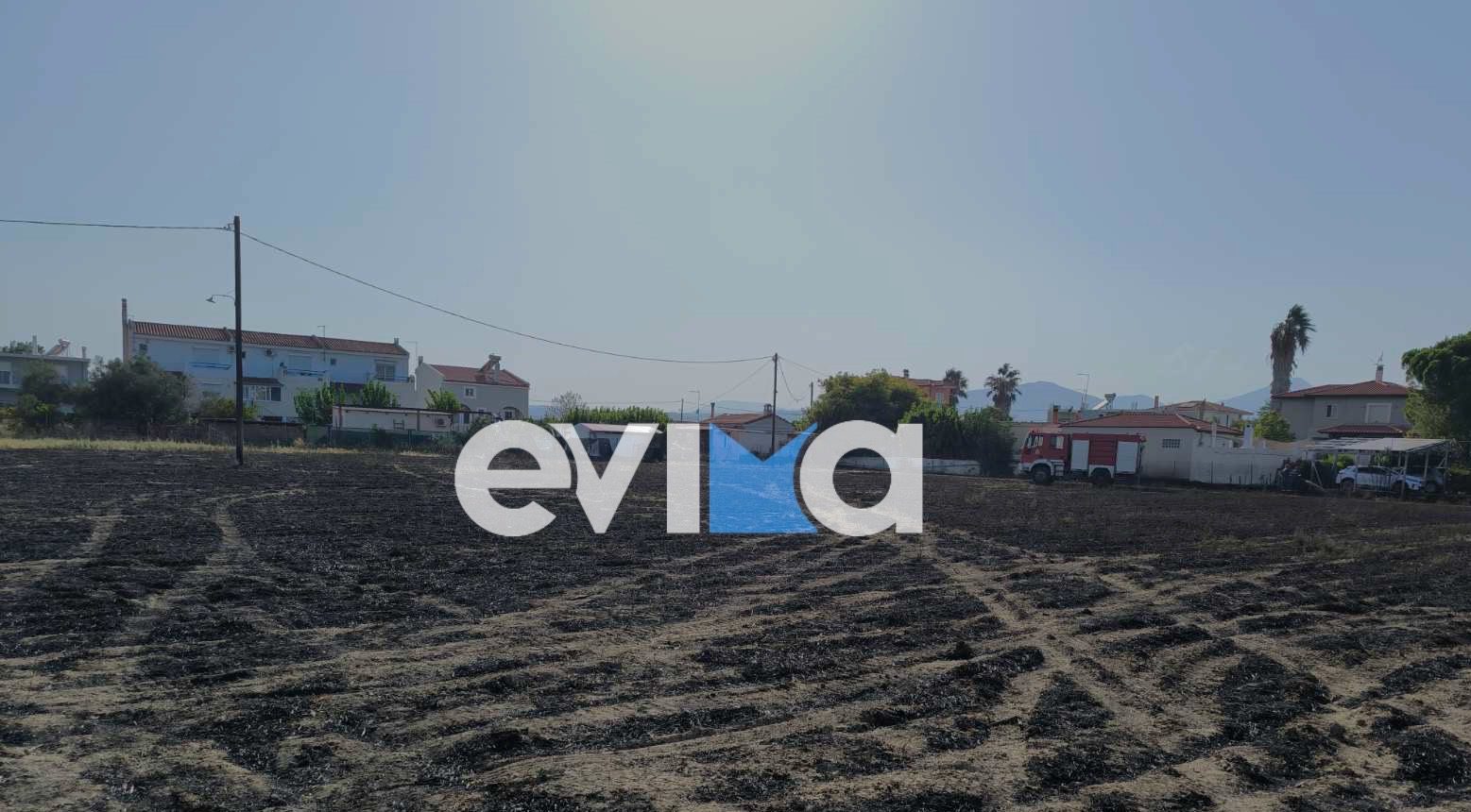 Φωτιά στην Εύβοια κοντά σε σπίτια – Πρόλαβαν τα χειρότερα οι πυροσβέστες- Οι πρώτες εικόνες Φωτιά στην Εύβοια κοντά σε σπίτια – Πρόλαβαν τα χειρότερα οι πυροσβέστες- Οι πρώτες εικόνες