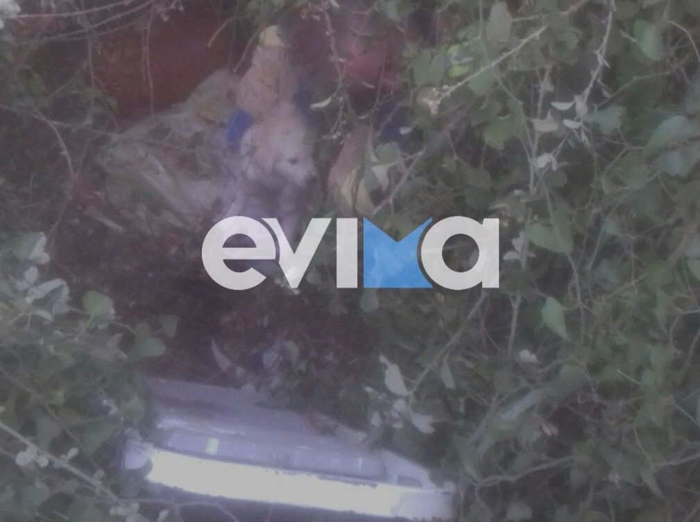 «Ήρωας» – πυροσβέστης στην Εύβοια έσωσε κουταβάκι από γκρεμό «Ήρωας» – πυροσβέστης στην Εύβοια έσωσε κουταβάκι από γκρεμό