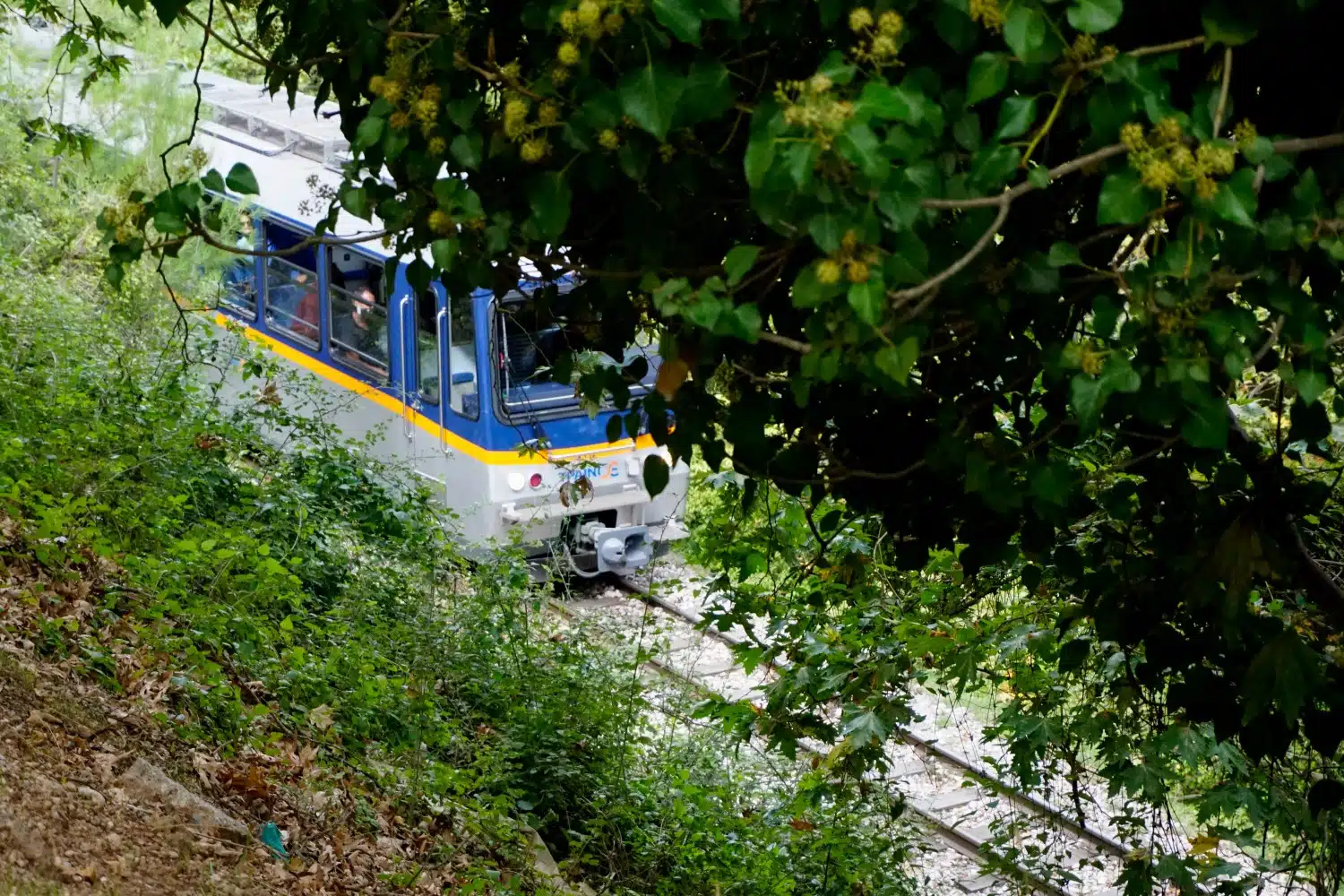 Ακινητοποιήθηκε ο οδοντωτός σιδηρόδρομος σε δύσβατο σημείο στα Καλάβρυτα Ακινητοποιήθηκε ο οδοντωτός σιδηρόδρομος σε δύσβατο σημείο στα Καλάβρυτα