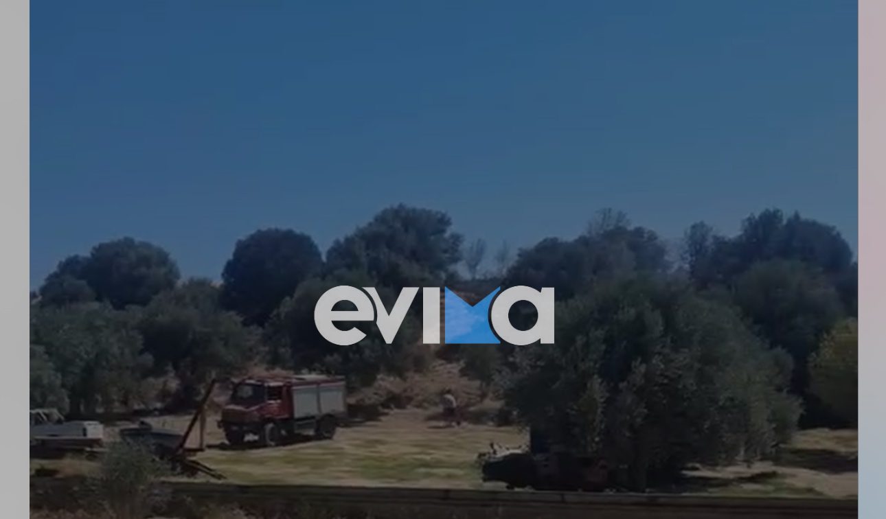 Νεαρός έβαλε φωτιά στην Εύβοια: Συγκλονιστική μαρτυρία στο evima Νεαρός έβαλε φωτιά στην Εύβοια: Συγκλονιστική μαρτυρία στο evima