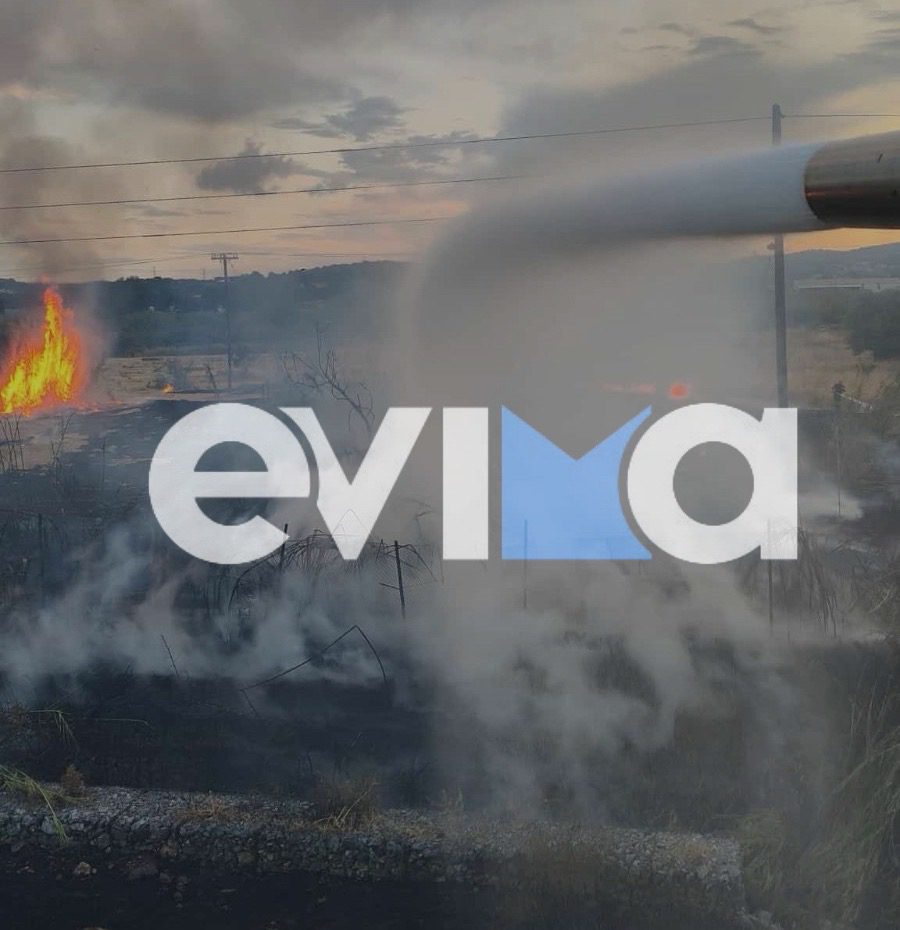Πολύ υψηλός κίνδυνος πυρκαγιάς σήμερα σε Εύβοια και Σκύρο – Τι απαγορεύεται Πολύ υψηλός κίνδυνος πυρκαγιάς σήμερα σε Εύβοια και Σκύρο – Τι απαγορεύεται