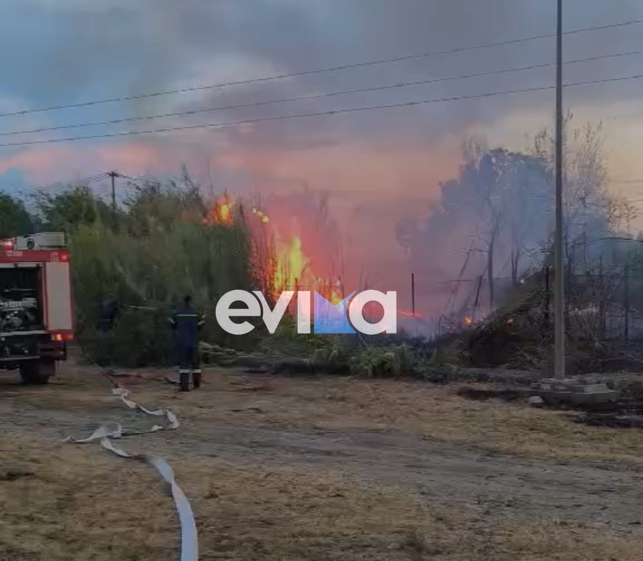 Φωτιά τώρα στην Εύβοια δίπλα από το εργοστάσιο της ΔΕΗ – Οι πρώτες εικόνες και βίντεο Φωτιά τώρα στην Εύβοια δίπλα από το εργοστάσιο της ΔΕΗ – Οι πρώτες εικόνες και βίντεο