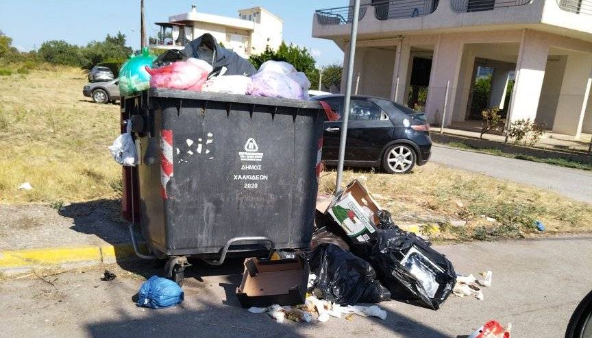 Σάλος στην Εύβοια: Αυτή η περιοχή «πνίγηκε» στα σκουπίδια – Εικόνες Σάλος στην Εύβοια: Αυτή η περιοχή «πνίγηκε» στα σκουπίδια – Εικόνες
