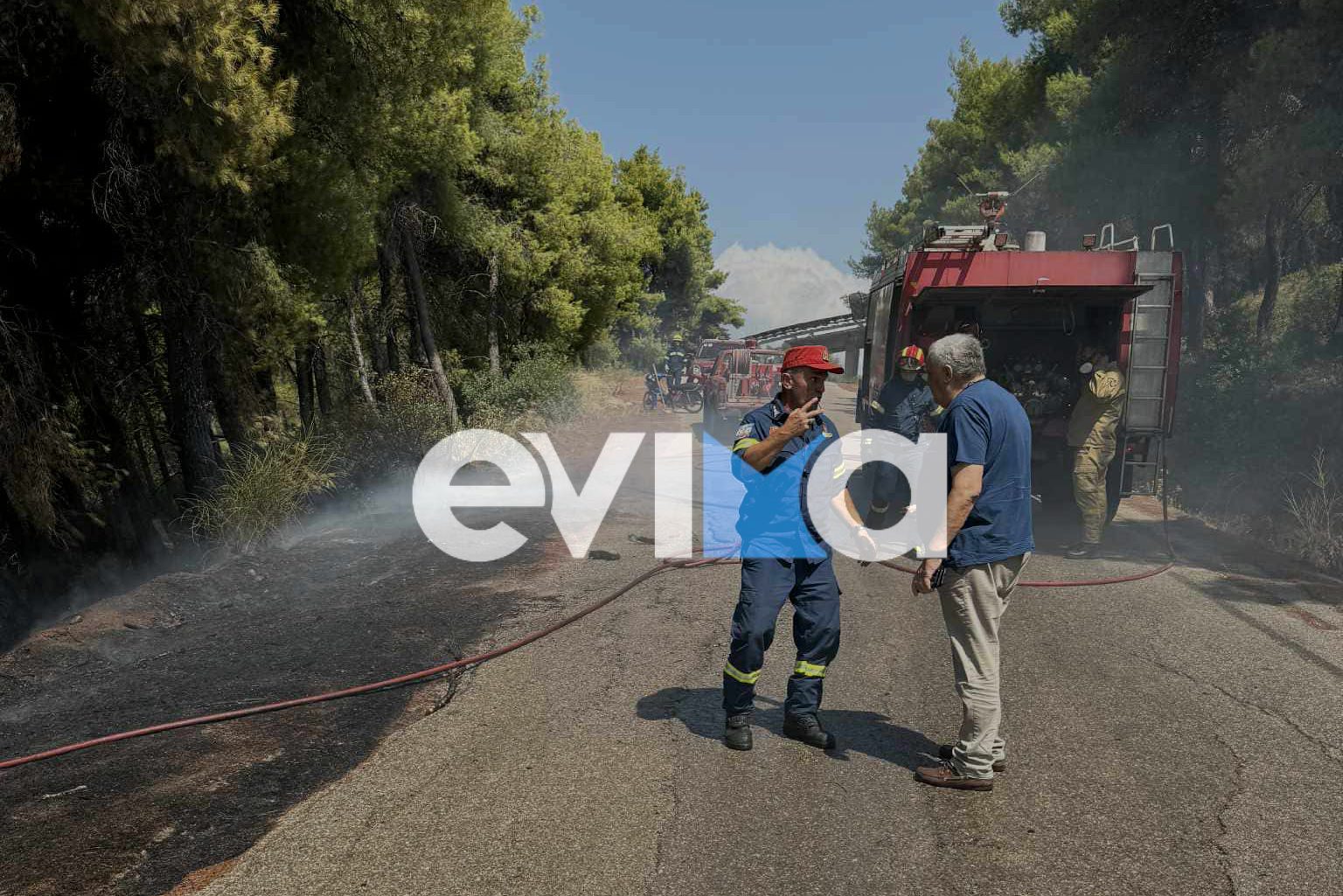 Νέα φωτιά στο Σταυρό Ευβοίας κοντά σε μαντρί Νέα φωτιά στο Σταυρό Ευβοίας κοντά σε μαντρί