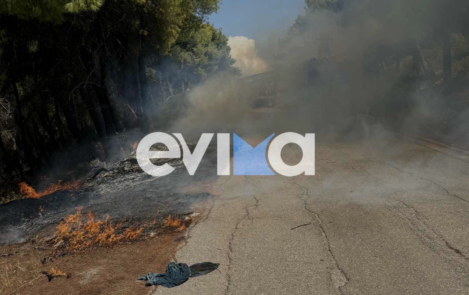 Συναγερμός για φωτιά σε Βρυσάκια και Σταυρό Ευβοίας Συναγερμός για φωτιά σε Βρυσάκια και Σταυρό Ευβοίας
