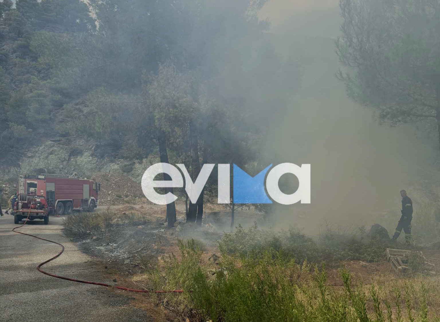 Νέα φωτιά στο Σταυρό Ευβοίας κοντά σε μαντρί Νέα φωτιά στο Σταυρό Ευβοίας κοντά σε μαντρί